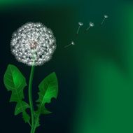 Floral design Dandelion N12