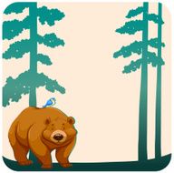 Wild bear N4