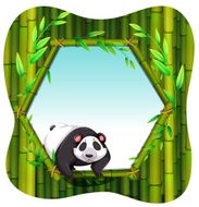 panda N21