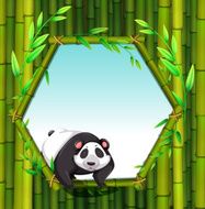 Bamboo N62