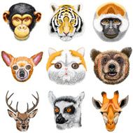 Set of animals Monkey chimpanzee tiger chihuahua cat bear