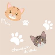 seamless cute cat and paw light brown pattern background
