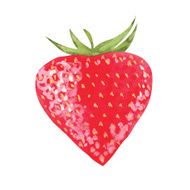 vector watercolor strawberry