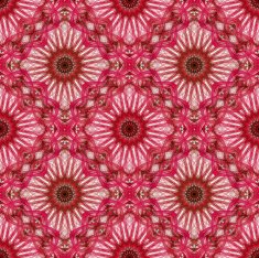 Textileable illustartion N2