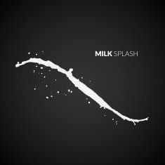 Milk splash isolated on black background N22
