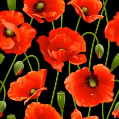 Seamless background poppy N2