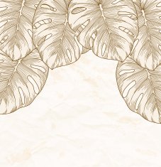 vintage background Old crumpled paper with leaves Monstera