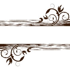 floral frame N380