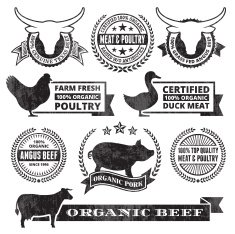 Organic Meat Poultry Grunge Black and White vector icon set