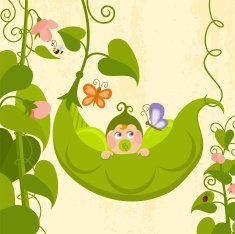 Sweet pea (series) N3