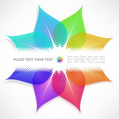Colorful Flower Design N2