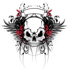 Skull and wings N3
