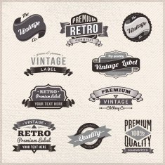 Set of vintage labels and badges on grunge frame