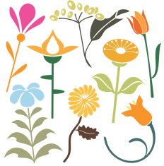 Floral Design Elements (Vector) N6