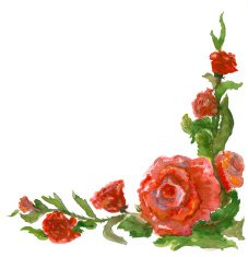 roses angular pattern