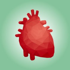 Human heart polygon design