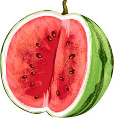 Watermelon Fruit N9