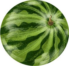 Watermelon Fruit N20