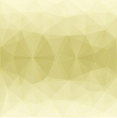 index03yellow N2