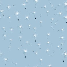 Dandelion wind in grass N2