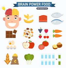 Brain power food infographic N2