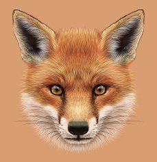Illustrative Portrait of a Red Fox