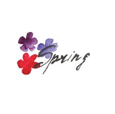 vector watercolor illustration spring flowers and inscriptions