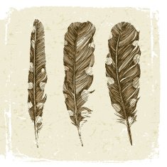 Hand drawn dotted feathers in vintage style N2