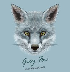 Vector Illustrative portrait of Grey Fox