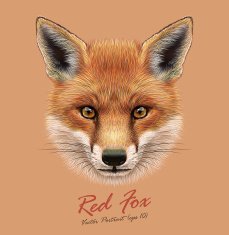 Vector Illustrative Portrait of a Red Fox