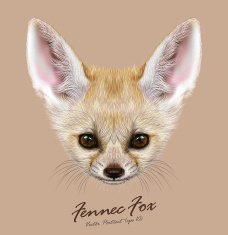 Vector Illustrative portrait of Fennec Fox