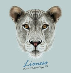 Vector Portrait of a Lioness on Blue background