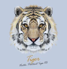 Vector Portrait of a Tiger on blue background