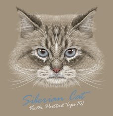 Vector Portrait of Siberian Cat N2