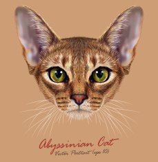 Vector Illustrative Portrait of Abyssinian Cat N2