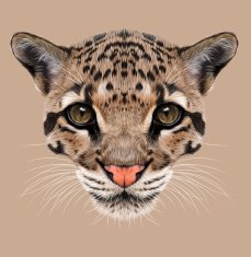 Illustrative Portrait of Clouded Leopard N2