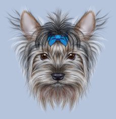 Illustrative Portrait of a Domestic Dog N2
