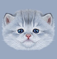Illustrative Portrait of Domestic Kitten N4