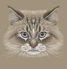 Illustrative Portrait of Siberian Cat N2