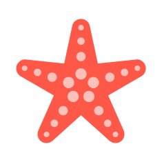 Starfish N15