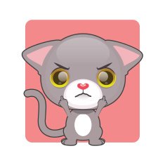 Cute gray kitten being upset
