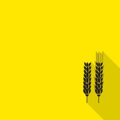 Wheat icon vector illustration Isolated on Yellow background N2