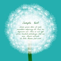 Floral design Dandelion N3