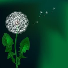 Floral design Dandelion N12
