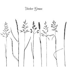 Set of grass silhouettes N10
