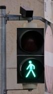 green light at the traffic lights for pedestrians
