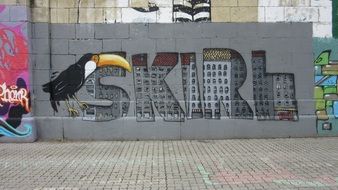 image of a toucan on graffiti on the wall