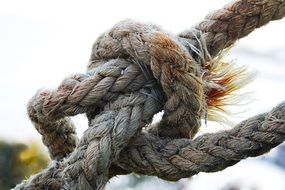 Close up photo of rope