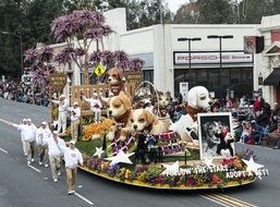 Parade on the street in California