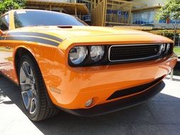 front of the orange car in the sun close up